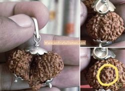 Trijuti Rudraksha with Ganesha & Om – Rare Shiva family Blessings for Wealth, Harmony & Enlightenment